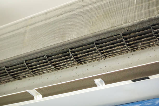 Best Air Vent Cleaning Services  in Central Park, WA