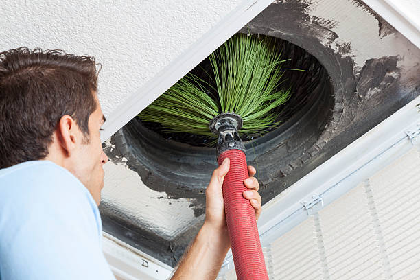 Best Commercial Air Duct Cleaning  in Central Park, WA